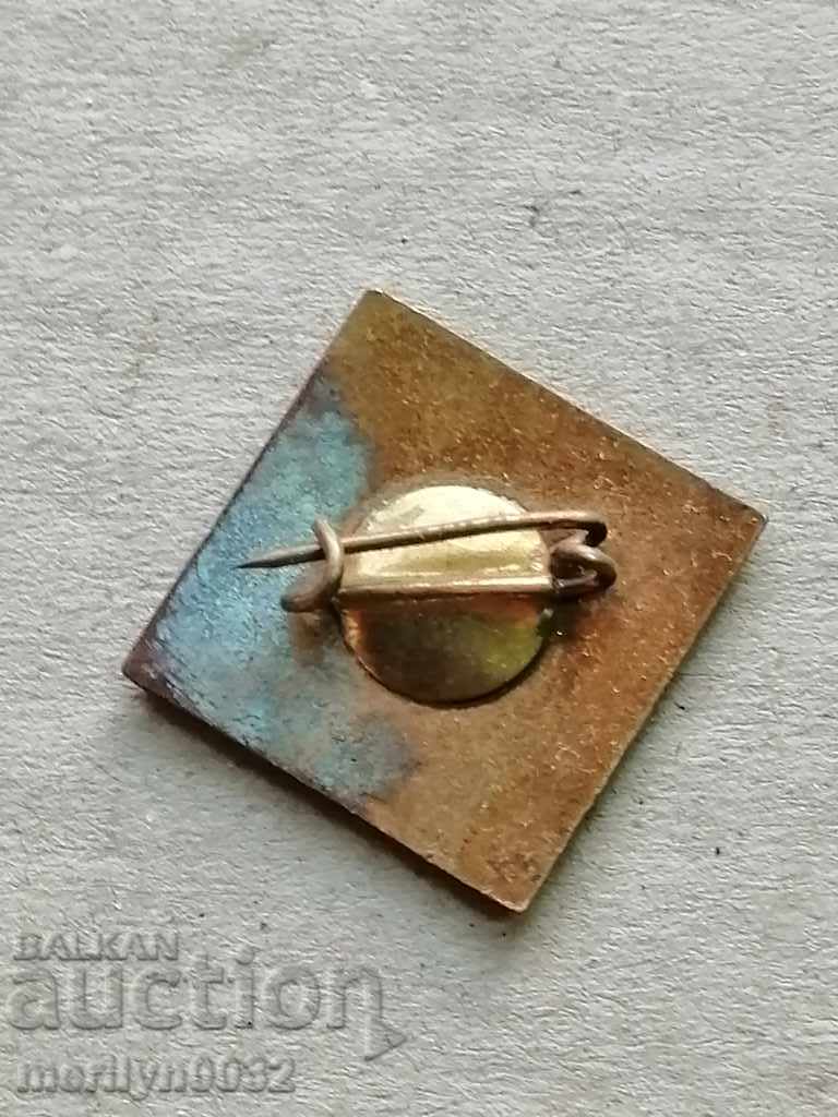 Auction Enamel Badge 1st Congressional Culture Medal Badge Auction Enamel Badge 1st Congressional Culture Medal Badge