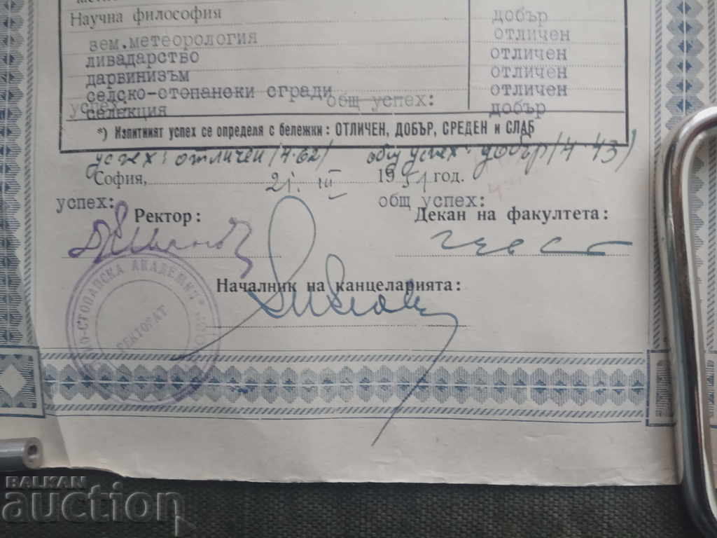 Licitație Certificat de examen de universitate a doua 1951 Licitație Certificat de examen de universitate a doua 1951