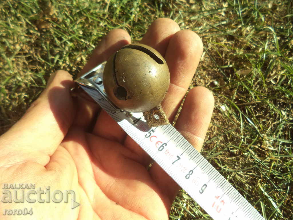 Auction NUT Auction NUT