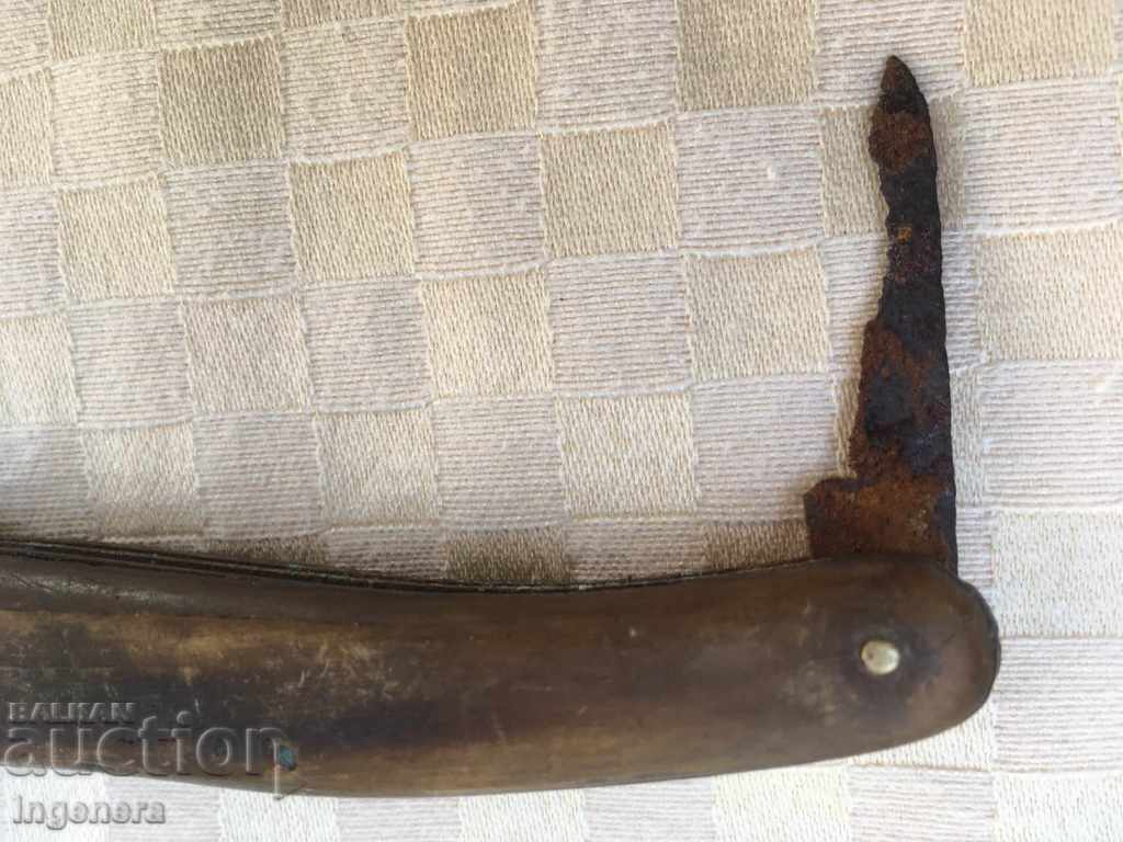 Delivery of BECAUSE BEAUTY FOLDING Delivery of BECAUSE BEAUTY FOLDING