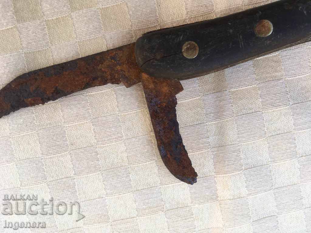 BECAUSE BEAUTY FOLDING - 6 BECAUSE BEAUTY FOLDING - 6