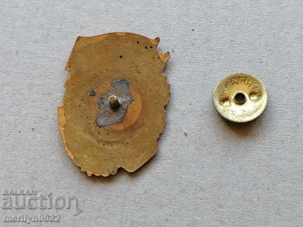 Δημιουργός Αριστείας στο Badge Medal BFP - 6