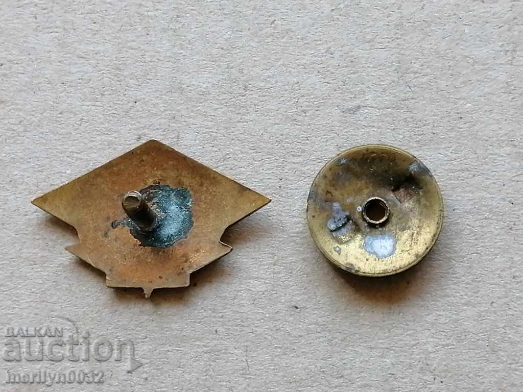 Auction Breastplate BGSO Medal Badge Auction Breastplate BGSO Medal Badge