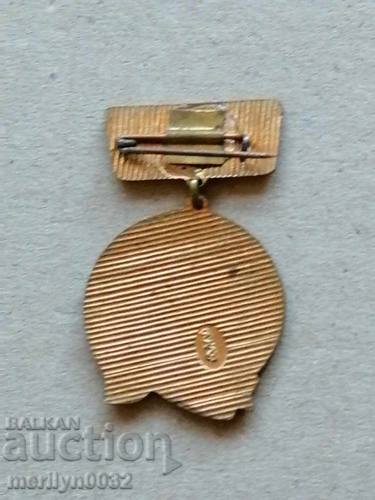 Medalia de excelență în învățământ și medalia Badge cu preț 48.00 BGN | € 24.54 Medalia de excelență în învățământ și medalia Badge cu preț 48.00 BGN | € 24.54