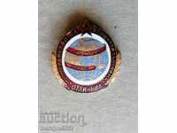 Badge of Excellence Foreign Trade Medal Badge