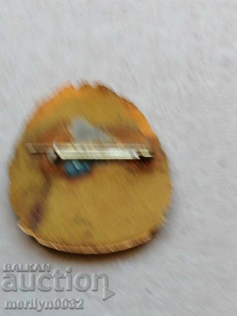 Delivery of Breastplate 20years Border Troops FAITH Guard Medal Badge