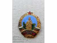 Honorable Mention Badge Medal Badge