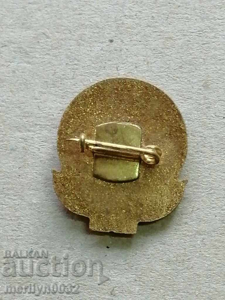 DKMS Medalie de pionier pentru ecusoane cu preț 32.00 BGN | € 16.36 DKMS Medalie de pionier pentru ecusoane cu preț 32.00 BGN | € 16.36