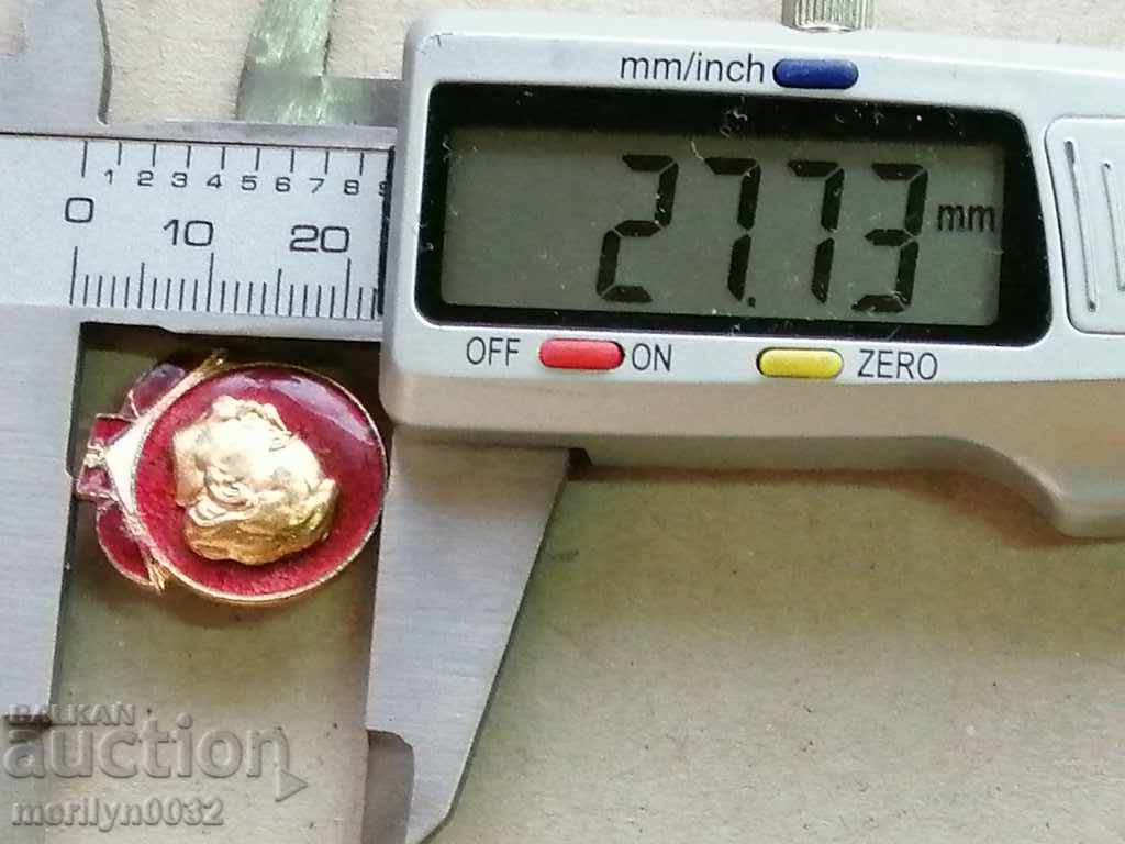 Livrarea DKMS Medalie de pionier pentru ecusoane Livrarea DKMS Medalie de pionier pentru ecusoane