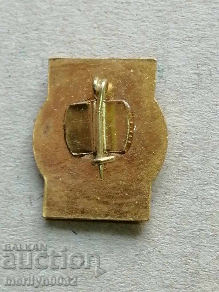 DKMS Medal Badge Pioneer Badge with price 32.00 BGN | € 16.36 DKMS Medal Badge Pioneer Badge with price 32.00 BGN | € 16.36