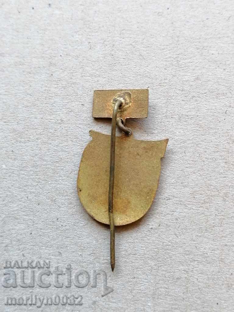 Auction  Birthday Badge Pioneer Work for the Motherland Medal Badge