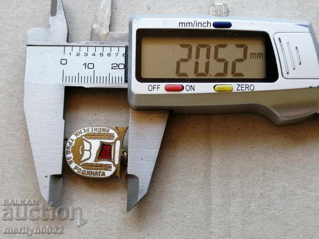 Birthday Badge Pioneer Work for the Motherland Medal Badge - 5