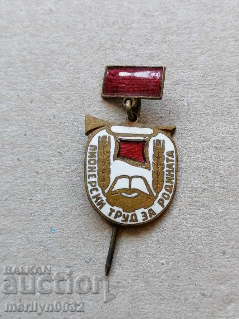 Insignă Pionierescă Muncă pentru Patrie medalie insignă - 6