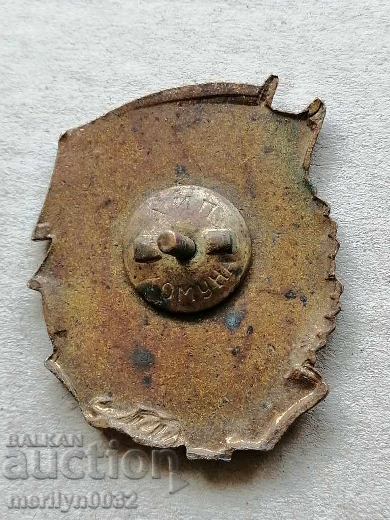 Auction Combat Badge and Political Training Badge Auction Combat Badge and Political Training Badge