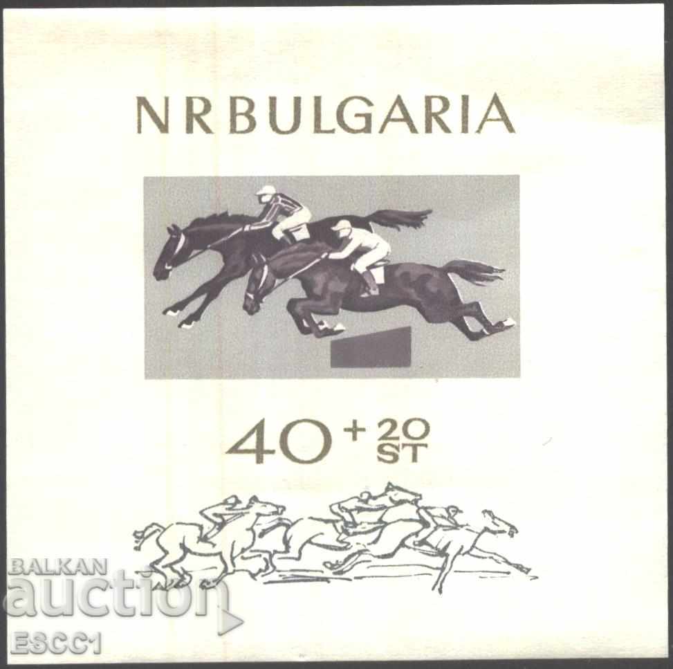 Чист блок Конен Спорт 1965 от България