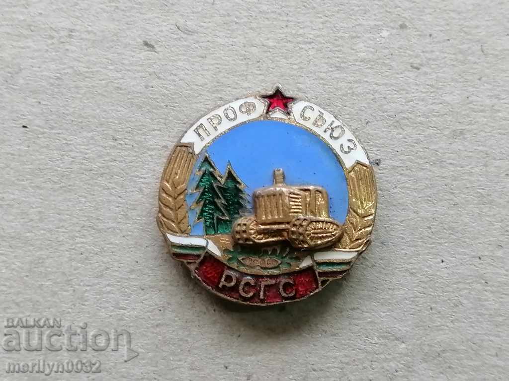 Auction Union RSGS badge medal badge Auction Union RSGS badge medal badge