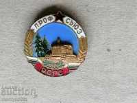 Union RSGS badge medal badge