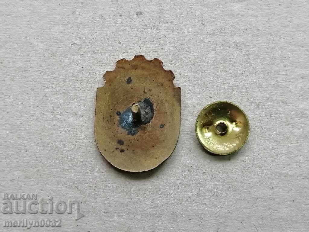 Delivery of Badge of Excellence MSSM Medal Badge Delivery of Badge of Excellence MSSM Medal Badge