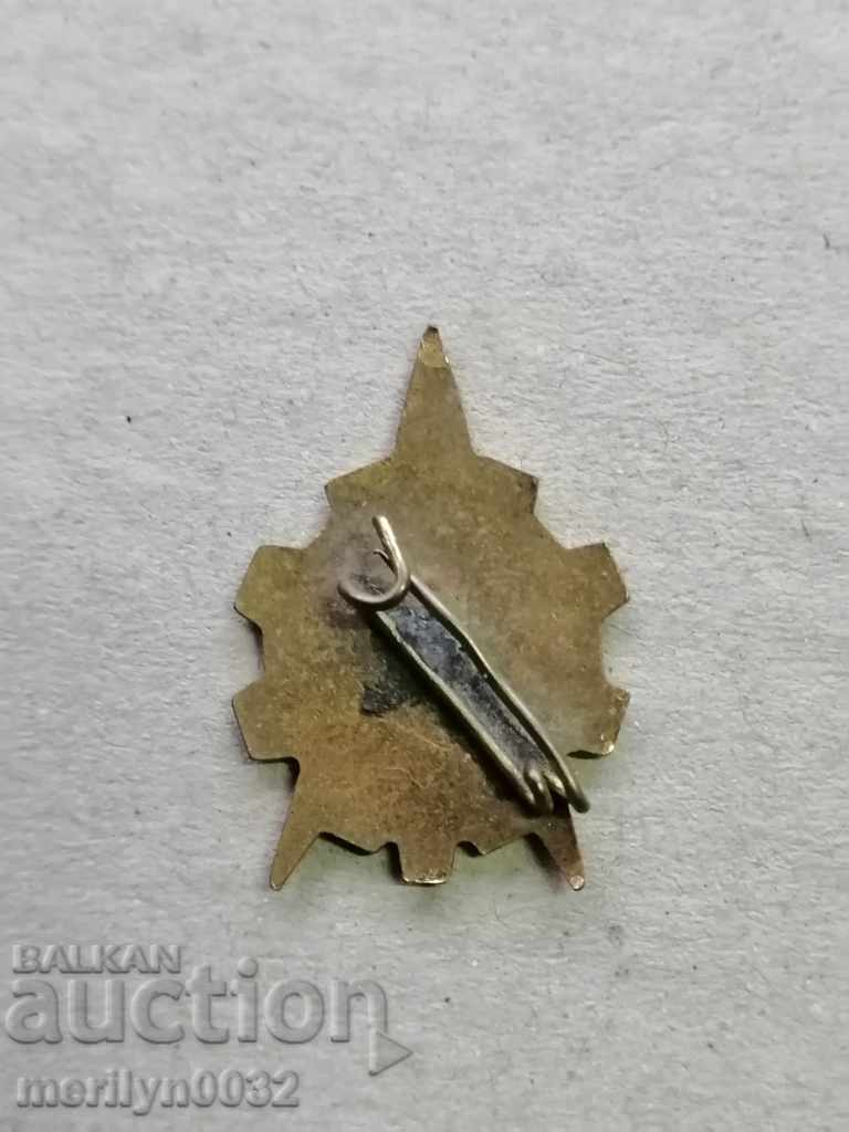 Young Technician Medal Badge Badge with price 52.00 BGN | € 26.59 Young Technician Medal Badge Badge with price 52.00 BGN | € 26.59