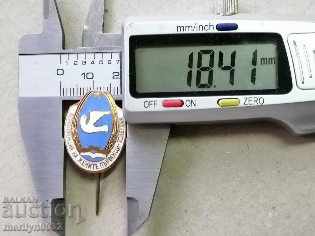 Auction Breastplate Women's Conference Champions Medal Badge Auction Breastplate Women's Conference Champions Medal Badge