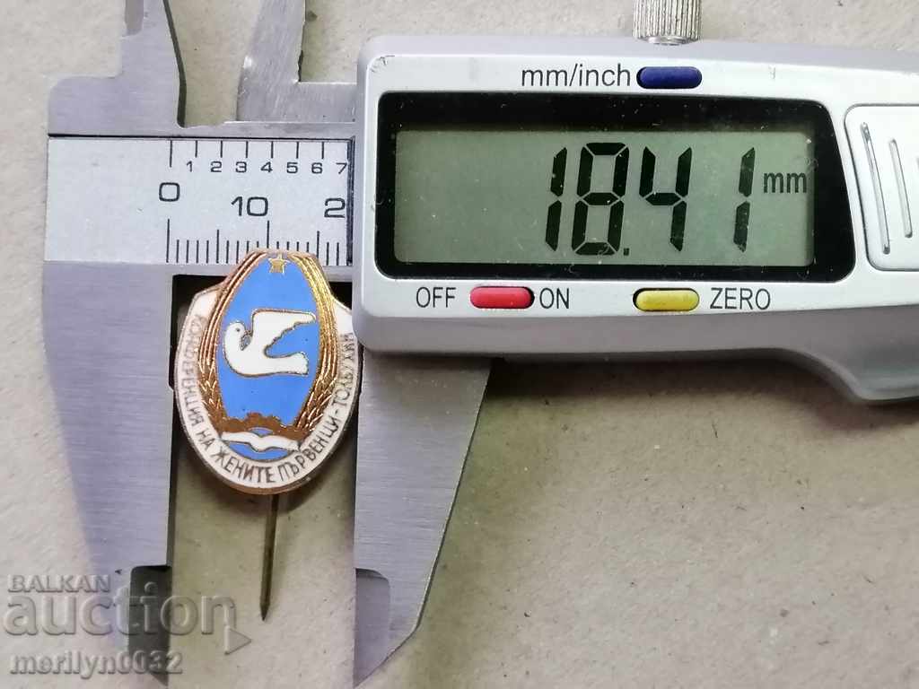 Breastplate Women's Conference Champions Medal Badge - 5 Breastplate Women's Conference Champions Medal Badge - 5