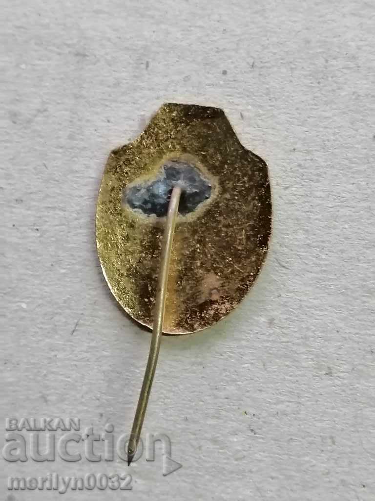 Breastplate Women's Conference Champions Medal Badge - 6 Breastplate Women's Conference Champions Medal Badge - 6