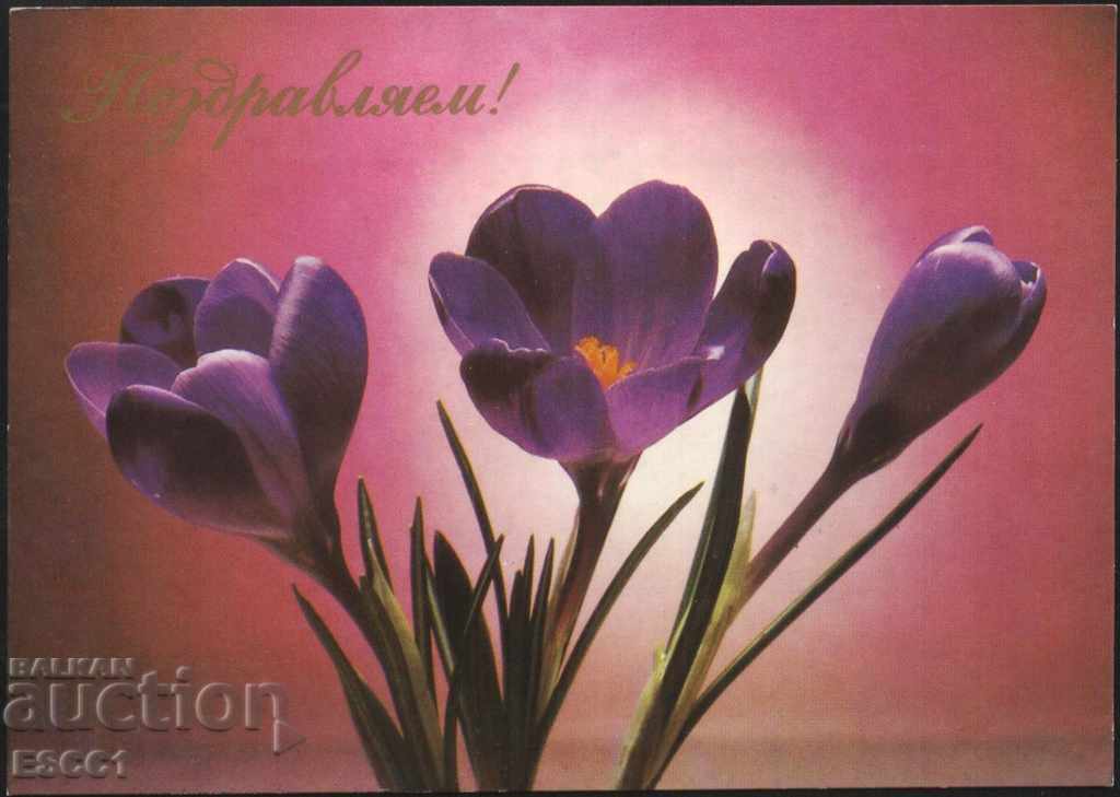 Greeting Flowers Greeting Card 1985 from the USSR