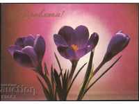 Картичка  Поздравителна Цветя 1985 от СССР