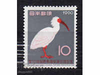 1960. Япония. Международен конгрес за опазване на птиците.