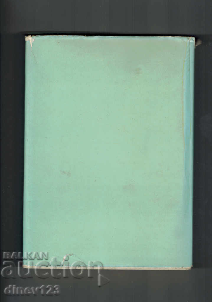 AMAZON T. 1 - ELIZAVET BAGRYAN with price 7.50 BGN | € 3.83 AMAZON T. 1 - ELIZAVET BAGRYAN with price 7.50 BGN | € 3.83