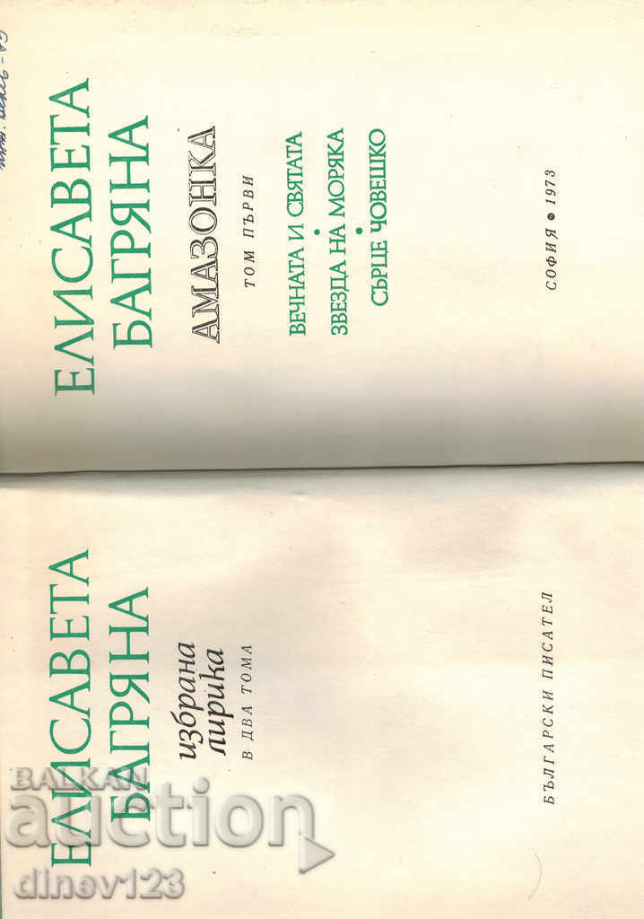 Auction AMAZON T. 1 - ELIZAVET BAGRYAN Auction AMAZON T. 1 - ELIZAVET BAGRYAN