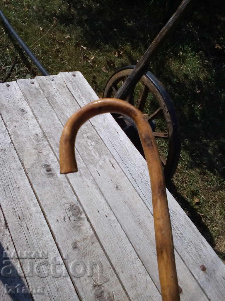 Delivery of An old cane Delivery of An old cane