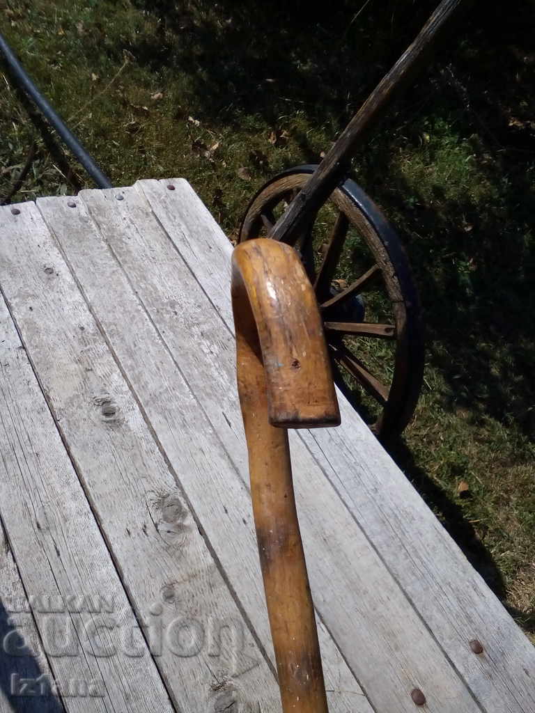 An old cane - 5 An old cane - 5