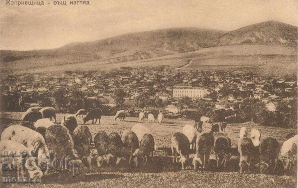 Carte poștală veche - Koprivshtitsa, Vedere generală