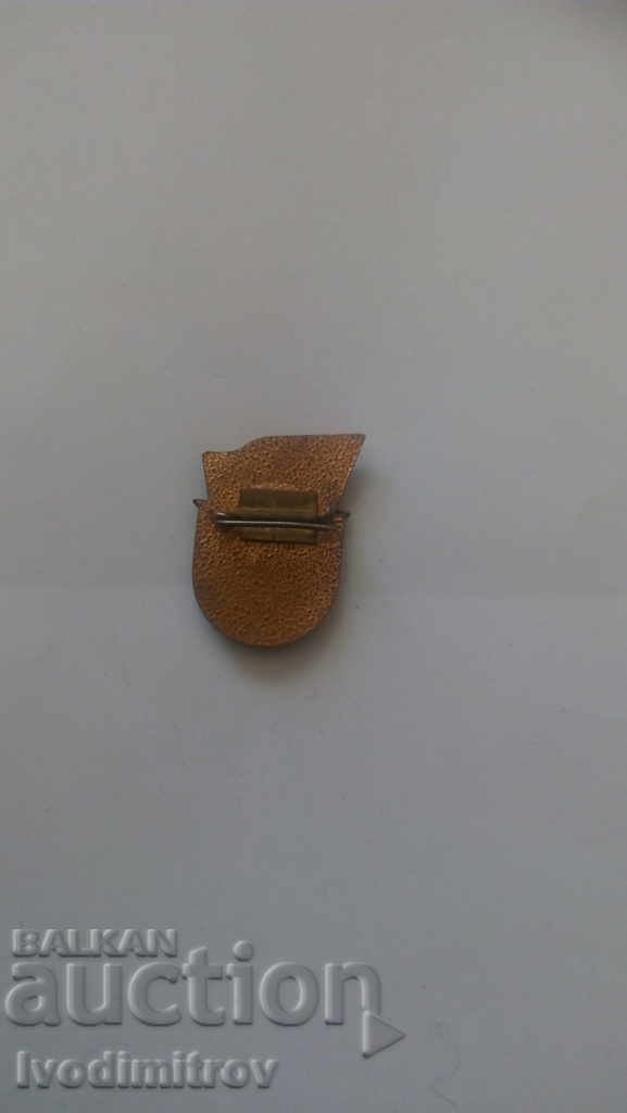 Badge Warrior athlete class II with price 2.25 BGN | € 1.15 Badge Warrior athlete class II with price 2.25 BGN | € 1.15