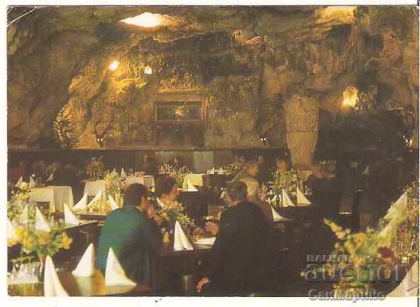 Картичка  България  Плевен Парк"Кайлъка"Ресторант Пещерата4*