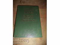 Dicționar Englez-Rus