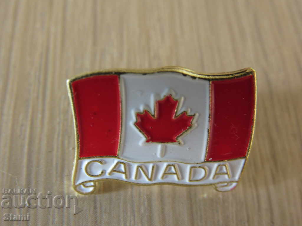 Auction  Canada flag icon