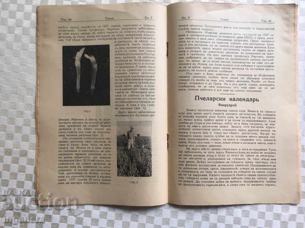 "BEE" LETTER - NO. 2 -1939 - 6