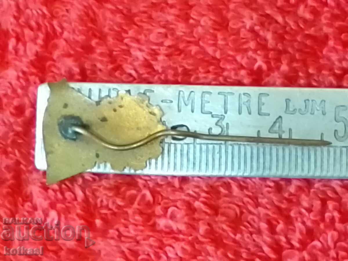 Old social badge enamel PMP 1952 PLOVDIV FAIR with price 25.50 BGN | € 13.04 Old social badge enamel PMP 1952 PLOVDIV FAIR with price 25.50 BGN | € 13.04