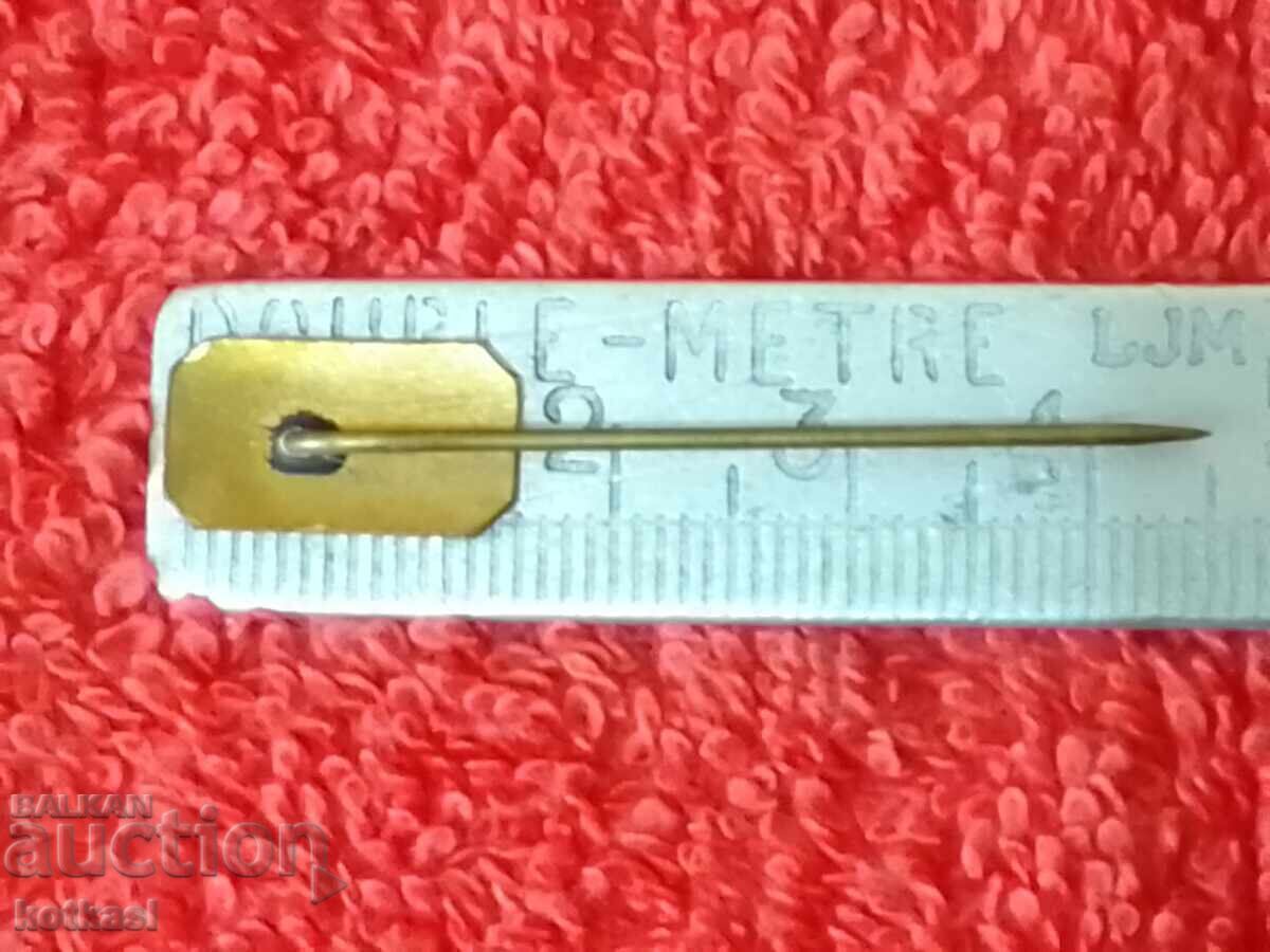 Old social badge enamel pin bronze Pharmacy Medicine Doctor with price 21.00 BGN | € 10.74 Old social badge enamel pin bronze Pharmacy Medicine Doctor with price 21.00 BGN | € 10.74