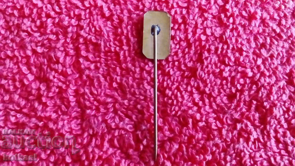 Delivery of Old social badge enamel pin bronze Pharmacy Medicine Doctor Delivery of Old social badge enamel pin bronze Pharmacy Medicine Doctor