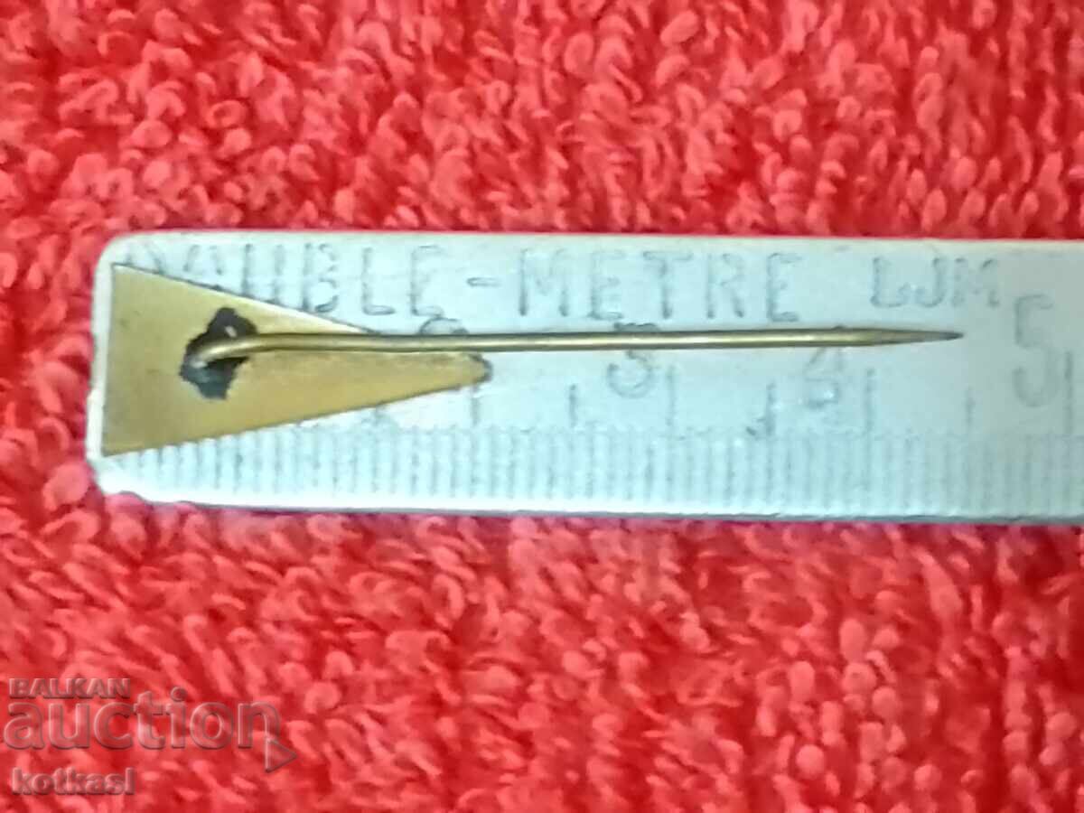 Old social badge enamel pin Pharmacy Medicine Doctor with price 21.00 BGN | € 10.74 Old social badge enamel pin Pharmacy Medicine Doctor with price 21.00 BGN | € 10.74