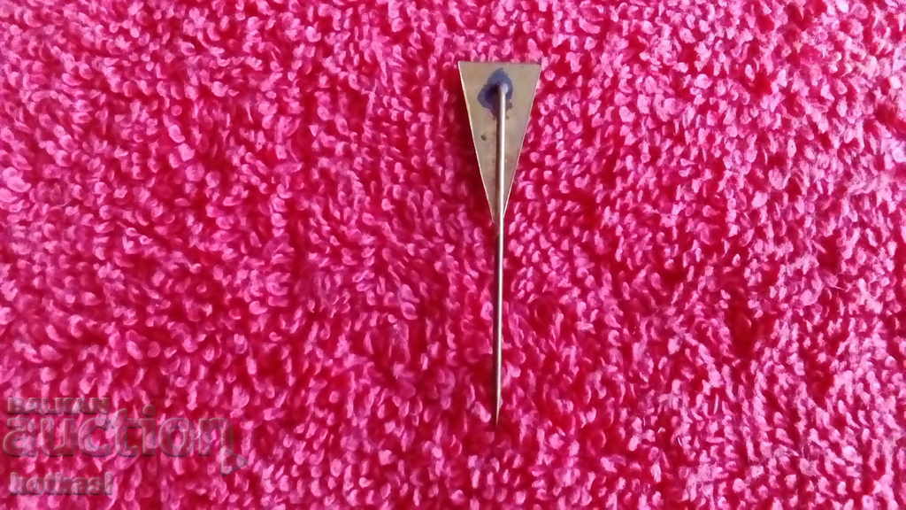 Delivery of Old social badge enamel pin bronze Pharmacy Medicine Doctor Delivery of Old social badge enamel pin bronze Pharmacy Medicine Doctor