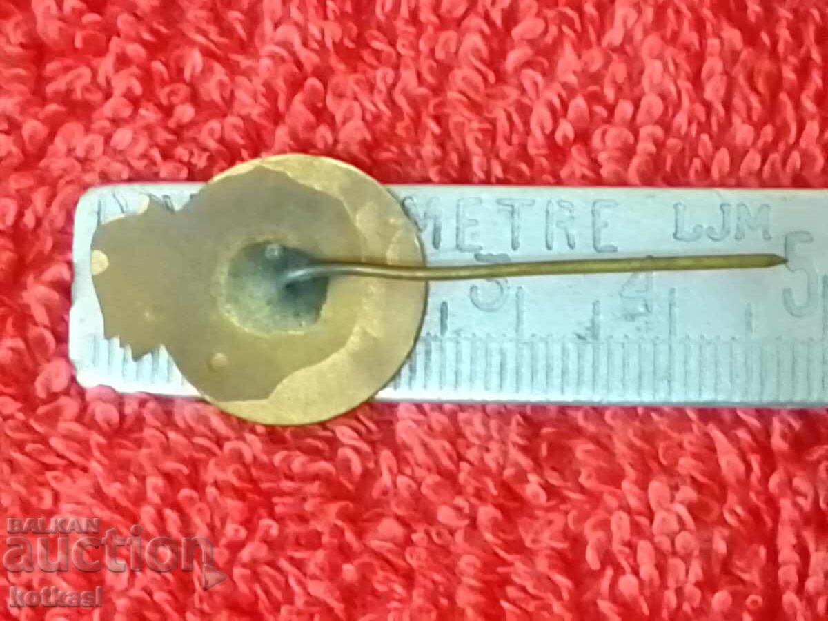 Стара спортна соц значка рядка ОЛИМПИЙСКИ НАДЕЖДИ 1969 с цена 25.50 лв. | € 13.04 Стара спортна соц значка рядка ОЛИМПИЙСКИ НАДЕЖДИ 1969 с цена 25.50 лв. | € 13.04