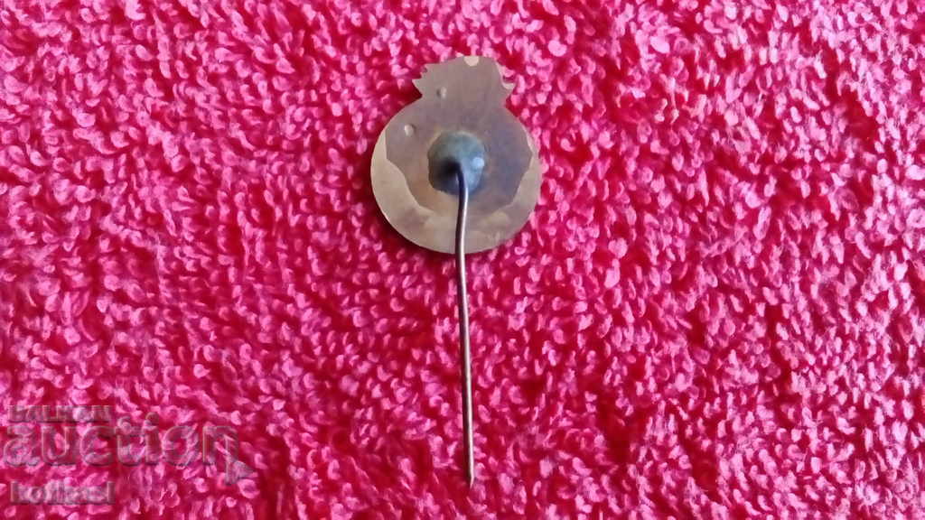 Доставка на Стара спортна соц значка рядка ОЛИМПИЙСКИ НАДЕЖДИ 1969 Доставка на Стара спортна соц значка рядка ОЛИМПИЙСКИ НАДЕЖДИ 1969