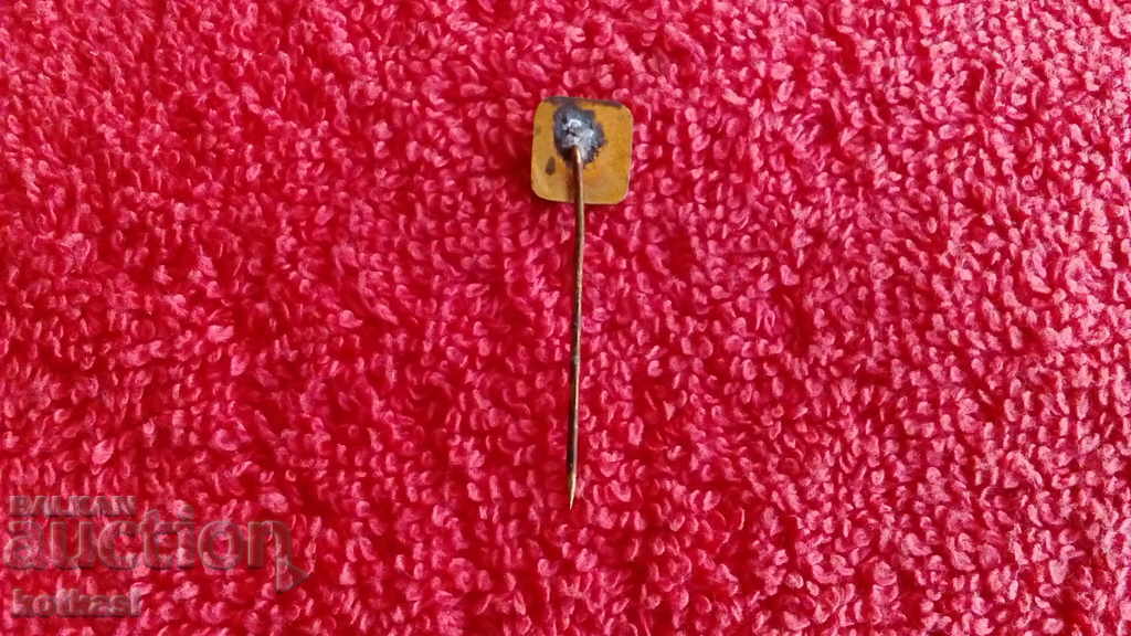 Delivery of Old sports social badge pin bronze enamel Water polo BFVT