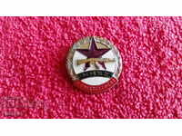 Old Soviet badge