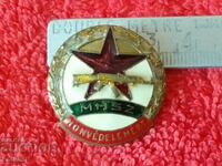 Veche insignă socială