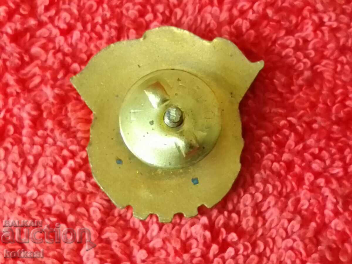 Auction Old social badge enamel on screw READY FOR LABOR AND DEFENSE 2 pcs Auction Old social badge enamel on screw READY FOR LABOR AND DEFENSE 2 pcs